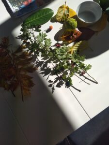 IMG_20251010_103103