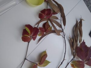 IMG_20251010_103138